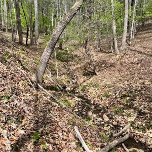 Photo #55 of 298 Braxton Ridge Rd, Amherst, VA 47.3 acres