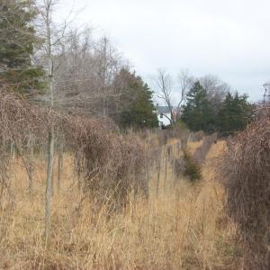 Photo #27 of 55 High Meadows, Scottsville, VA 13.1 acres