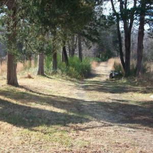 Photo #11 of 55 High Meadows, Scottsville, VA 13.1 acres