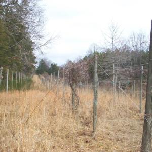 Photo #26 of 55 High Meadows, Scottsville, VA 13.1 acres