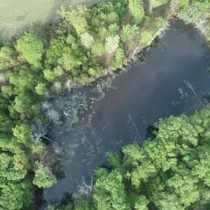 Photo #8 of 6956 Climax Rd, Gretna, VA 7.8 acres