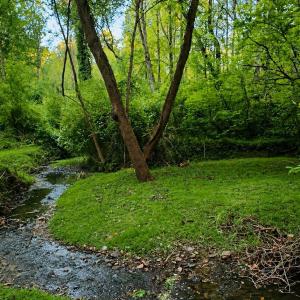 Photo #6 of 296 Tommie Wood Ln, Lynchburg, VA 4.0 acres