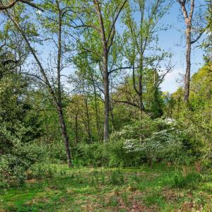 Photo #29 of 2134 Woodcrest Drive, Lynchburg, VA 0.9 acres
