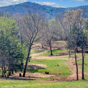 Photo #72 of 3861 Wheatland Road, Bedford, VA 43.4 acres