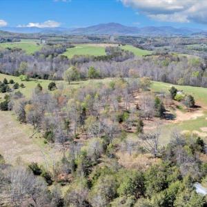 Photo #90 of 3861 Wheatland Road, Bedford, VA 43.4 acres