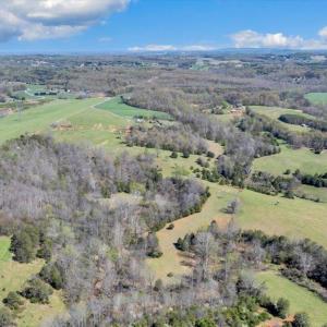 Photo #78 of 3861 Wheatland Road, Bedford, VA 43.4 acres