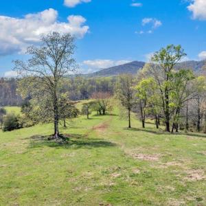 Photo #4 of 3861 Wheatland Road, Bedford, VA 43.4 acres