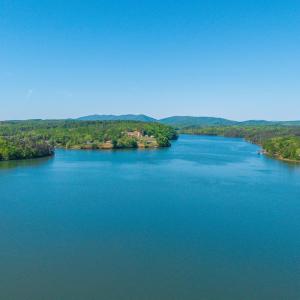 Photo #75 of 1269 Runaway Bay, Lynch Station, VA 0.5 acres