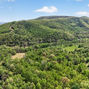 Photo #59 of 1539 Wheats Valley Road, Bedford, VA 10.4 acres