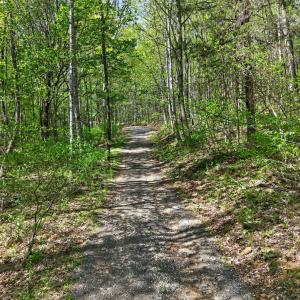 Photo #47 of 1539 Wheats Valley Road, Bedford, VA 10.4 acres