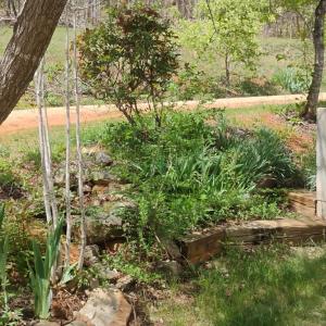 Photo #45 of 4183 TYE RIVER Road, Amherst, VA 14.3 acres