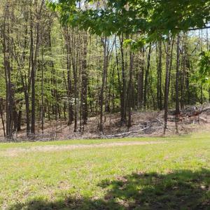 Photo #53 of 4183 TYE RIVER Road, Amherst, VA 14.3 acres