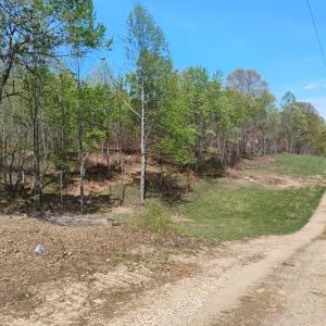 Photo #49 of 4183 TYE RIVER Road, Amherst, VA 14.3 acres