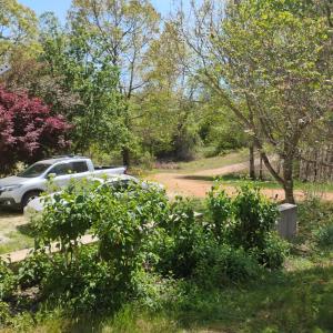 Photo #66 of 4183 TYE RIVER Road, Amherst, VA 14.3 acres