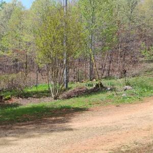 Photo #42 of 4183 TYE RIVER Road, Amherst, VA 14.3 acres