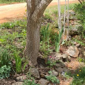 Photo #43 of 4183 TYE RIVER Road, Amherst, VA 14.3 acres