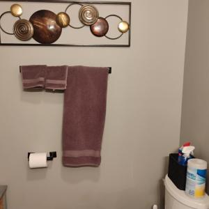 Photo #22 of 4183 TYE RIVER Road, Amherst, VA 14.3 acres