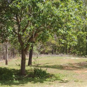 Photo #44 of 4183 TYE RIVER Road, Amherst, VA 14.3 acres