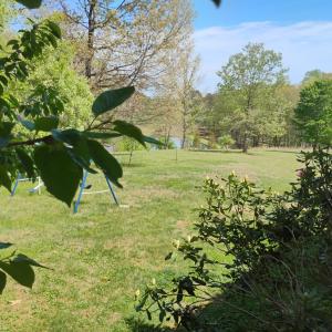 Photo #60 of 4183 TYE RIVER Road, Amherst, VA 14.3 acres