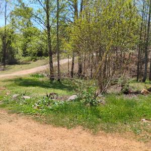 Photo #67 of 4183 TYE RIVER Road, Amherst, VA 14.3 acres