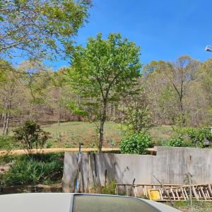 Photo #61 of 4183 TYE RIVER Road, Amherst, VA 14.3 acres