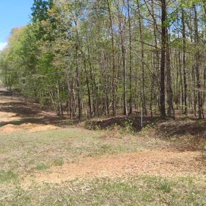 Photo #50 of 4183 TYE RIVER Road, Amherst, VA 14.3 acres