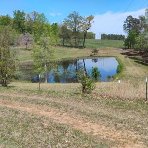 Photo #64 of 4183 TYE RIVER Road, Amherst, VA 14.3 acres