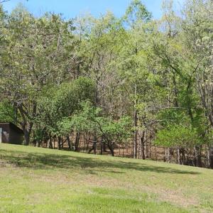 Photo #54 of 4183 TYE RIVER Road, Amherst, VA 14.3 acres