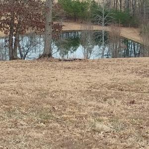 Photo #3 of 4183 TYE RIVER Road, Amherst, VA 14.3 acres