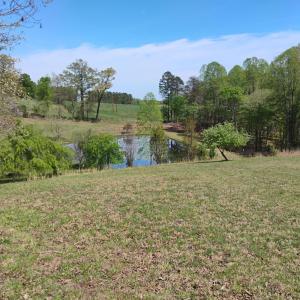 Photo #65 of 4183 TYE RIVER Road, Amherst, VA 14.3 acres