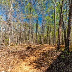 Photo #33 of 2305 Smith Mountain Lake Parkway, Huddleston, VA 1.0 acres