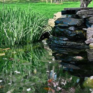 Photo #62 of 1170 Brandon Court, Forest, VA 0.6 acres