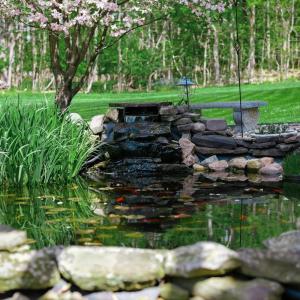 Photo #53 of 1170 Brandon Court, Forest, VA 0.6 acres