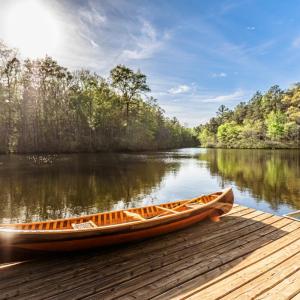 Photo #4 of 278 Salt Lick Lane, Appomattox, VA 50.6 acres