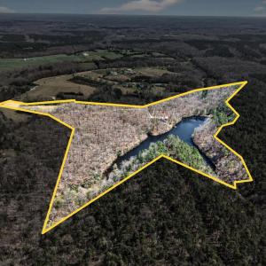 Photo #71 of 278 Salt Lick Lane, Appomattox, VA 50.6 acres