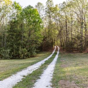 Photo #74 of 278 Salt Lick Lane, Appomattox, VA 50.6 acres