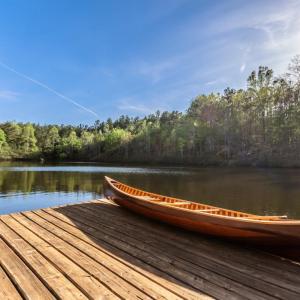 Photo #3 of 278 Salt Lick Lane, Appomattox, VA 50.6 acres