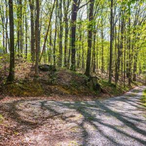 Photo #59 of 3882 Rocky Mountain Road, Forest, VA 9.5 acres