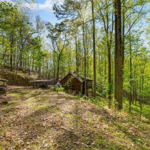 Photo #45 of 3882 Rocky Mountain Road, Forest, VA 9.5 acres