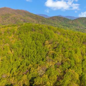 Photo #64 of 3882 Rocky Mountain Road, Forest, VA 9.5 acres