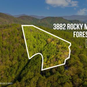 Photo #3 of 3882 Rocky Mountain Road, Forest, VA 9.5 acres