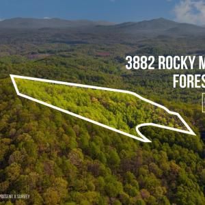 Photo #4 of 3882 Rocky Mountain Road, Forest, VA 9.5 acres