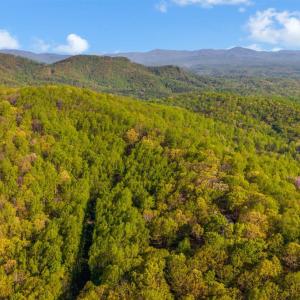 Photo #66 of 3882 Rocky Mountain Road, Forest, VA 9.5 acres