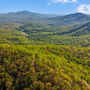Photo #68 of 3882 Rocky Mountain Road, Forest, VA 9.5 acres