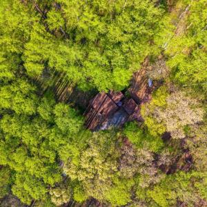 Photo #61 of 3882 Rocky Mountain Road, Forest, VA 9.5 acres