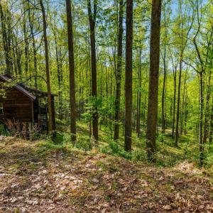 Photo #46 of 3882 Rocky Mountain Road, Forest, VA 9.5 acres