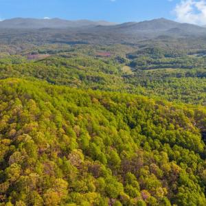 Photo #67 of 3882 Rocky Mountain Road, Forest, VA 9.5 acres