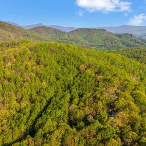 Photo #65 of 3882 Rocky Mountain Road, Forest, VA 9.5 acres