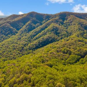 Photo #69 of 3882 Rocky Mountain Road, Forest, VA 9.5 acres