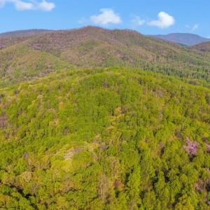 Photo #63 of 3882 Rocky Mountain Road, Forest, VA 9.5 acres
